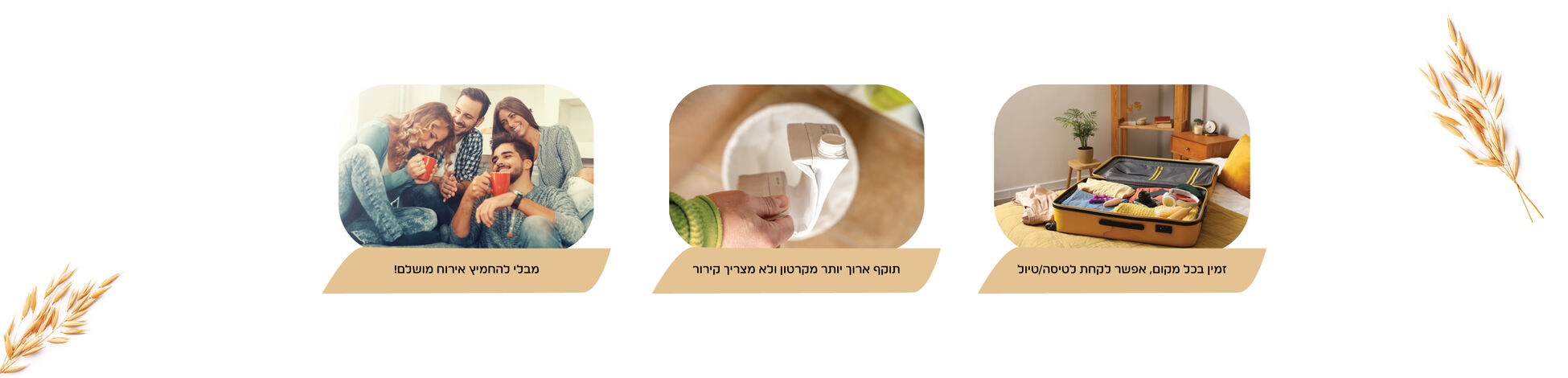 קפסולות שיבולת שועל image number 0